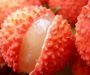 麻豆黄片免费在线观看荔枝